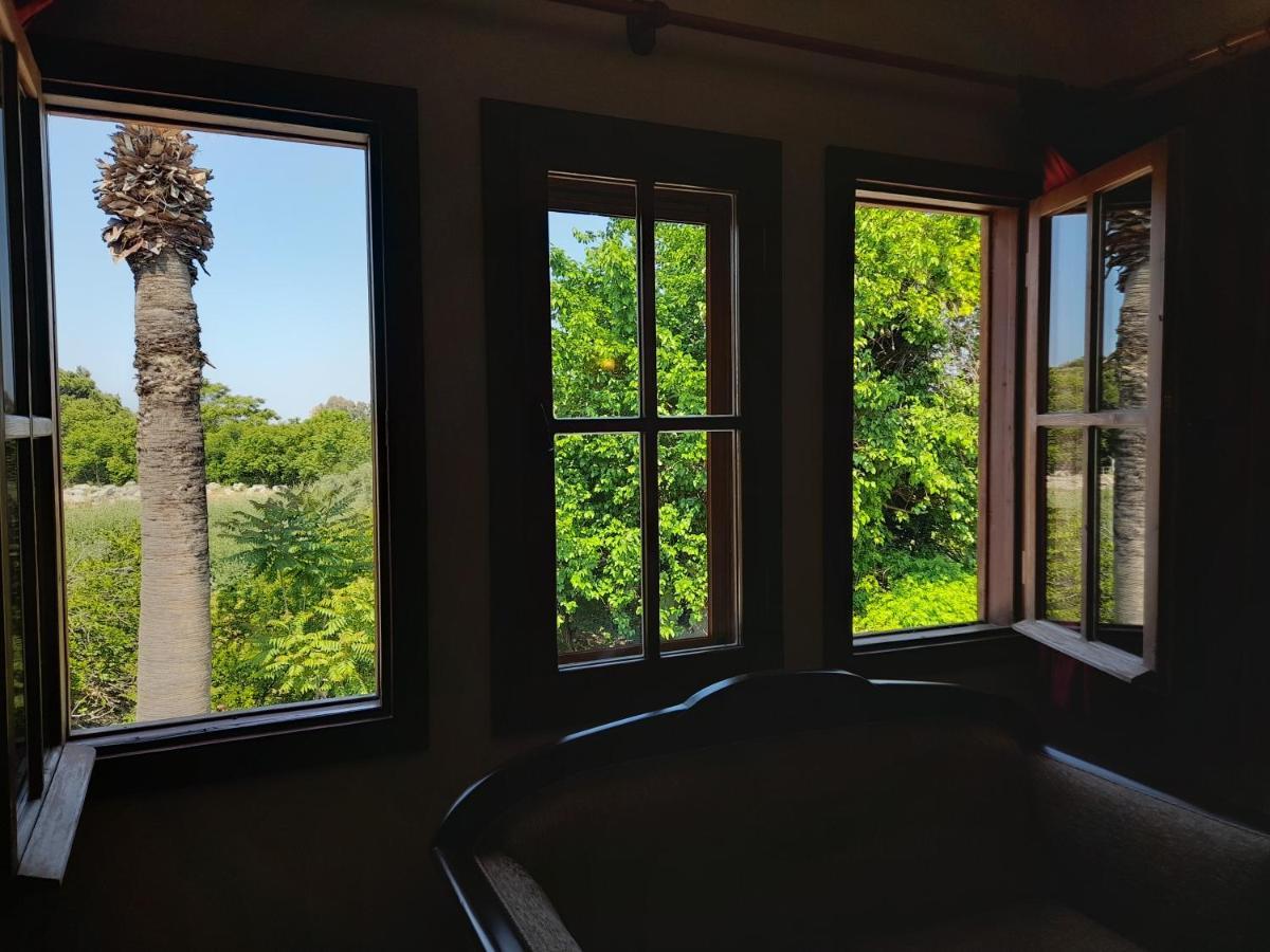 مبيت وإفطار سلجوك Casa Callinos المظهر الخارجي الصورة