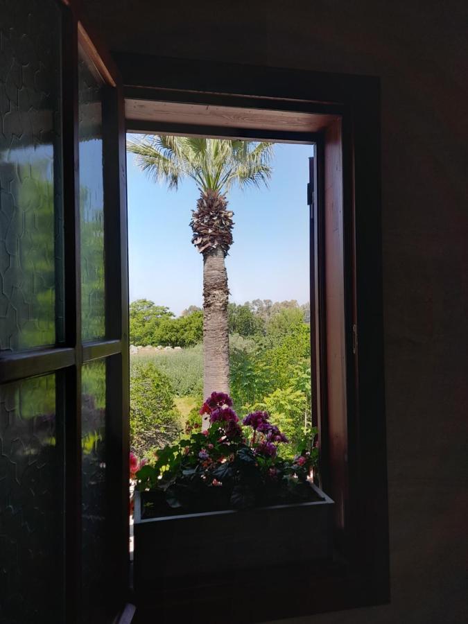 مبيت وإفطار سلجوك Casa Callinos المظهر الخارجي الصورة