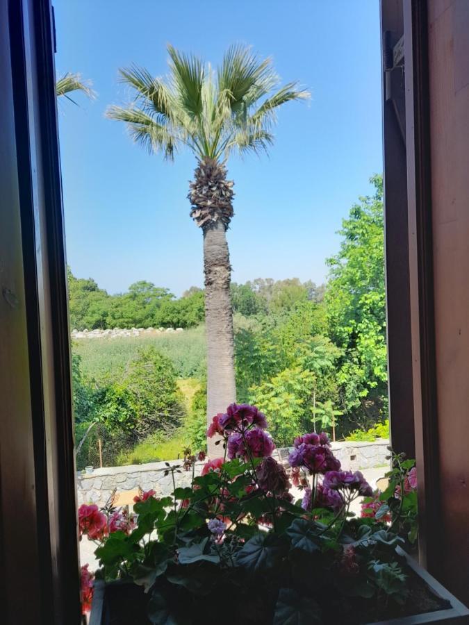 مبيت وإفطار سلجوك Casa Callinos المظهر الخارجي الصورة